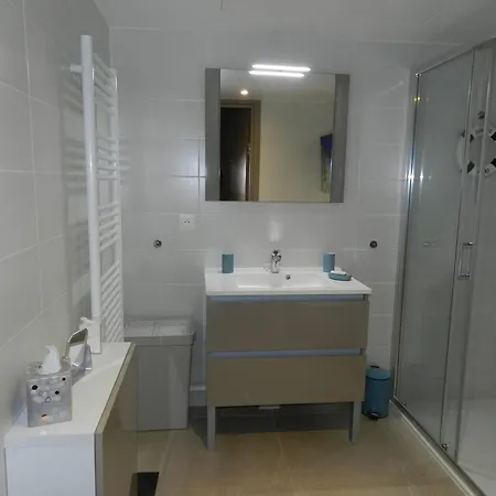 Apartment T2 Avec Terrasse, Piscine Sur Toit, Proche Et Commerces, Climatise, Garage Inclus - Fr-1-251-752 *